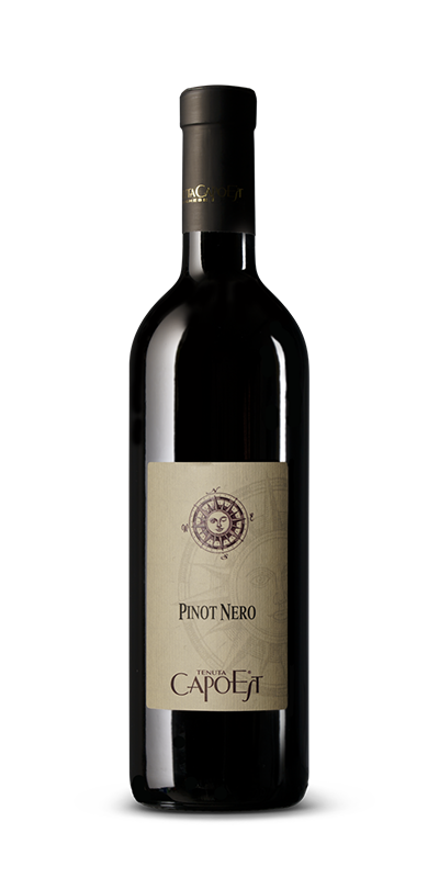 Pinot nero